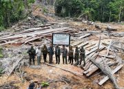 Kemenhut dan Satgas PKH hentikan pembalakan liar di Kepulauan Mentawai