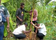 Pemkab Jayapura ajak masyarakat jaga hutan sagu