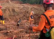 Tim SAR kerahkan anjing pelacak-alat berat cari korban longsor Cilacap
