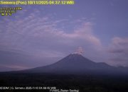 Gunung Semeru kembali erupsi dengan letusan setinggi 800 meter