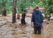 Pusdalops catat 13 kabupaten/kota di Sumut dilanda bencana alam