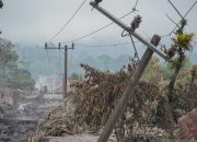 BNPB: Tiga luka berat dan 204 hektare lahan rusak akibat erupsi Semeru
