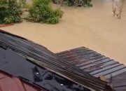 Bupati Aceh Timur instruksikan evakuasi warga terjebak banjir