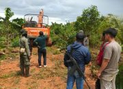 Kemenhut amankan perambah hutan dengan alat berat di TN Kutai