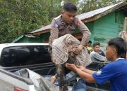 Korban meninggal dunia bencana alam di Sumut bertambah jadi 318 orang