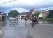 Banjir rob rendam rumah warga Kampung Opas Pangkalpinang