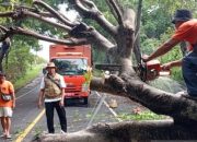 BPBD: NTB dilanda banjir dan angin kencang akibat cuaca ekstrem