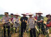 Kapolda Sumsel Didampingi Kapolres Ogan Ilir Salurkan Bantuan Sosial pada Acara Panen Raya Jagung Serentak