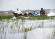 Dukung Ketahanan Pangan, Danrem 044/Gapo Dampingi Itjen Kementan Tinjau Cetak Sawah 2026