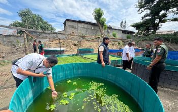 Kodam XXIII/Palaka Wira Perluas Program Ketahanan Pangan, Paldam Kembangkan Budidaya Lele Bioflok