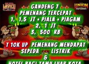 Ajakan Judi Beredar via WhatsApp, Aktivitas Sabung Ayam di Gombol Tuai Keresahan
