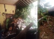 Tiga Rumah Di Dusun Kalipada Jebol diterjang Tanah Longsor