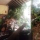 Tiga Rumah Di Dusun Kalipada Jebol diterjang Tanah Longsor