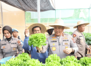 Polda Kepri panen perdana sayur hidroponik untuk kebutuhan MBG