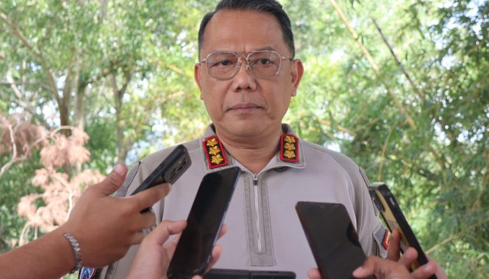 Sempat Melawan Petugas, Satu Anggota KKB Puncak Jaya Berhasil Dilumpuhkan Satgas Ops Damai Cartenz