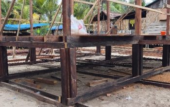 TMMD Ke-128 Kodim 1710/Mimika Gunakan Kayu Besi Berkualitas untuk Bangun Rumah Layak Huni di Kampung Keakwa