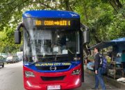 Pemerintah modernisasi transportasi massal di Kalimantan Timur