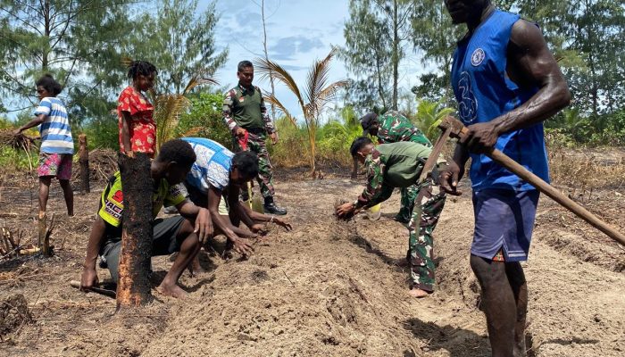Bedengan Rampung, Lahan Program TMMD di Kampung Keakwa Siap Ditanami
