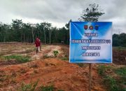 TNI Bersama Rakyat, TMMD Ke-128 Sulap Lahan 1,5 Hektar Jadi Kebun Jagung Produktif