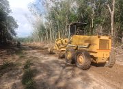 Hari ke-19 TMMD Kodim 0402/OKI, Pekerjaan Pembukaan Jalan Hampir Rampung dengan Capaian 85 Persen
