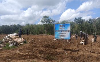 Satgas TMMD Kodim 0402/OKI Tanam Jagung 1,5 Hektar Demi Perkuat Ketahanan Pangan Desa