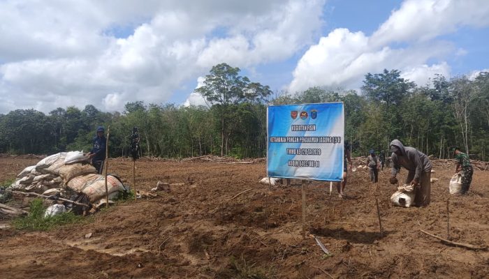 Satgas TMMD Kodim 0402/OKI Tanam Jagung 1,5 Hektar Demi Perkuat Ketahanan Pangan Desa