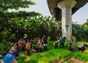 Pemanfaatan RPTRA Sungai Bambu Untuk Pengembangan Pertanian Warga