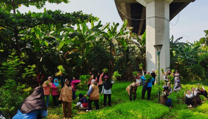 Pemanfaatan RPTRA Sungai Bambu Untuk Pengembangan Pertanian Warga