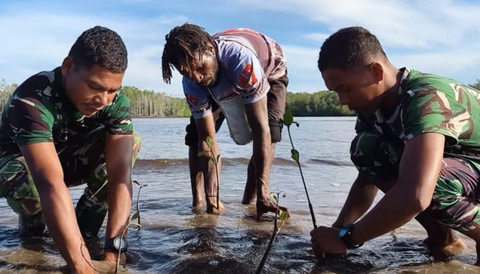 Bersatu Dengan Alam, Satgas TMMD Kodim 1710/Mimika Tanam Ribuan Bibit Mangrove