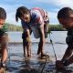 Bersatu Dengan Alam, Satgas TMMD Kodim 1710/Mimika Tanam Ribuan Bibit Mangrove