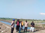 Ditpolairud Polda Metro Jaya Tebar 300 Ribu Benih Udang Windu di Muaragembong Bekasi