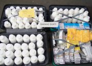 Polda Metro Jaya Bongkar Peredaran Obat Keras Ilegal di Bekasi