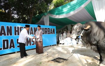Wujud Syukur Idul Adha 1477 H, Polda Sumsel Salurkan Ratusan Hewan Qurban hingga ke Pelosok
