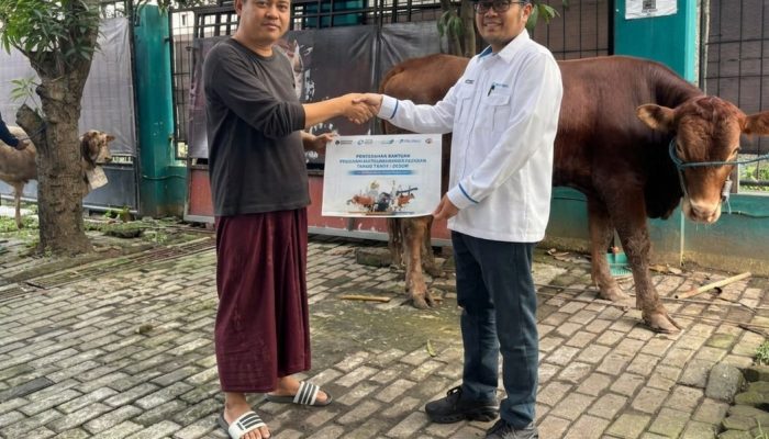 CTP DUKUNG KELANCARAN PELINDO BERBAGI QURBAN IDULADHA 1447H