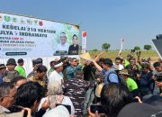 Dari Tanah Indramayu, Mimpi Swasembada Ditanam di Tengah Negeri yang Terlalu Lama Bergantung pada Kapal Impor