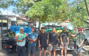 Camat Komodo Fasilitasi Pedagang Kelapa Muda, Pastikan Stok Aman di Kota Super Premium