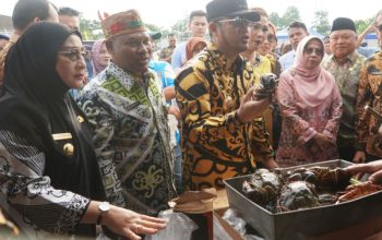 Pemkab Berau gelar Gerakan Ikan Murah penuhi kebutuhan gizi warga