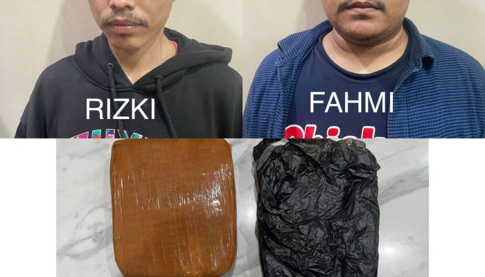 Satresnarkoba Polres Priok Ungkap Kasus Peredaran Ganja, Dua Pelaku Diamankan