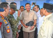 Panglima TNI Hadiri Peluncuran Biodiesel B50, Dukung Penguatan Kemandirian Energi Nasional