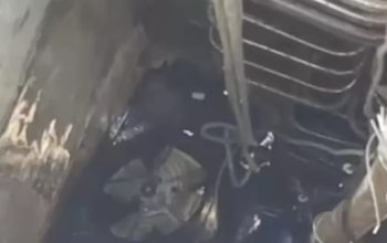 Komite Penyelamat Lingkungan Desak Pramono Anung Copot Dirut PAM Jaya Terkait Tewasnya Tiga Pekerja PAM Jaya