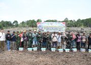 Danrem 044/Gapo Tinjau Cetak Sawah Rakyat di Banyuasin, Perkuat Ketahanan Pangan Nasional