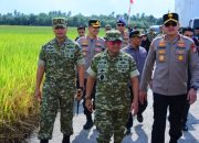 Kasdam Kodam XIX Tuanku Tambusai Pimpin Panen Raya Bengkalis, Terhubung dengan Presiden RI dalam Panen Raya Nasional
