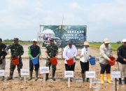 Panen Hari Ini, Tanam Hari Ini, Korem 044/Gapo Dukung Gerakan IP300 Untuk Ketahanan Pangan Nasional