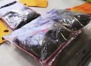 Polresta Banjarmasin bongkar rantai pasok ganja lewat penyamaran