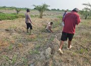 Polsek Bangko Bersama Petani Pekaitan Tanam Jagung, Wujudkan Ketahanan Pangan dari Tingkat Desa