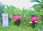 P2L Ketapang Bhayangkari SPN Hinai Dukung Ketahanan Pangan Berkelanjutan
