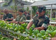 Danrem 044/Gapo Panen Hasil Urban Farming Gapo Farm, Wujud Nyata Ketahanan Pangan Berkelanjutan
