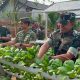 Danrem 044/Gapo Panen Hasil Urban Farming Gapo Farm, Wujud Nyata Ketahanan Pangan Berkelanjutan