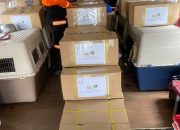 Terus Bergerak Cepat, Polri Kembali Kirim K9, Obat-obatan dan 3,4 Ton Bantuan ke NTT