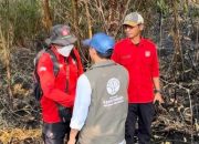 Tinjau Karhutla Kalsel, Menhut Raja Antoni : Api Sudah Tak Terlihat, tapi Gambut Masih Berasap